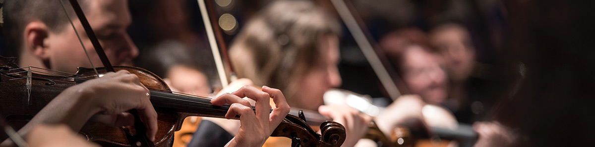 Musiker während eines Violinenkonzertes